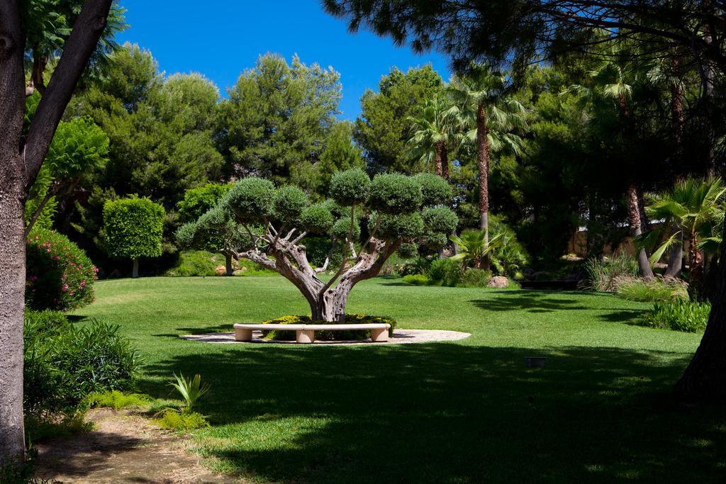Jardines De Amaltea Hotel Лорка Екстериор снимка