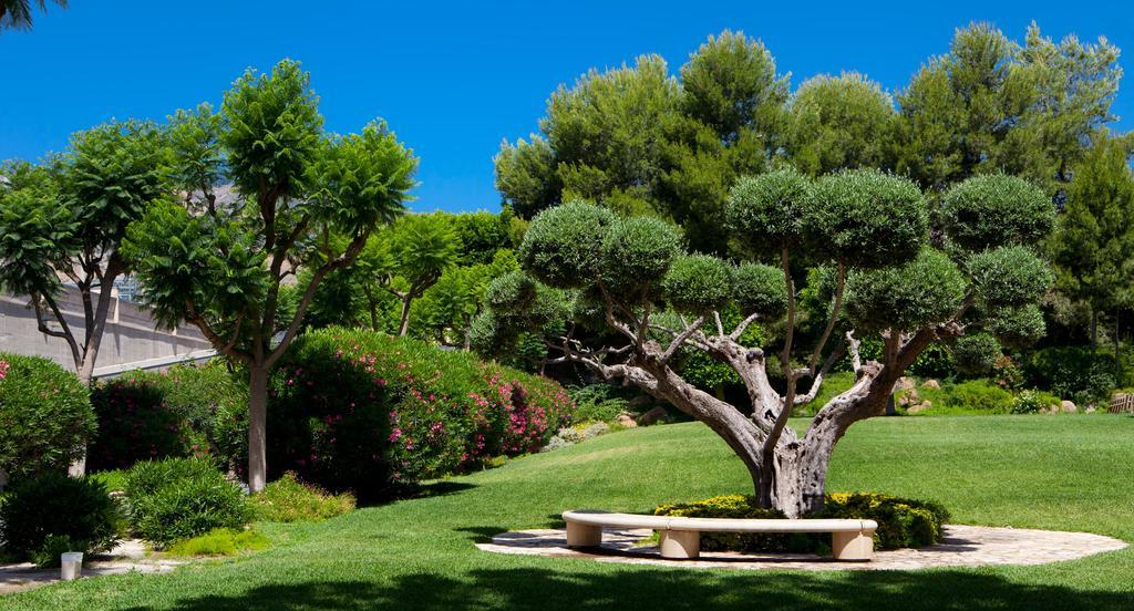 Jardines De Amaltea Hotel Лорка Екстериор снимка